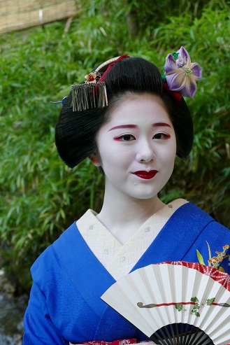 閑話休題 京の芸舞妓抄 京都花街の芸妓と舞妓